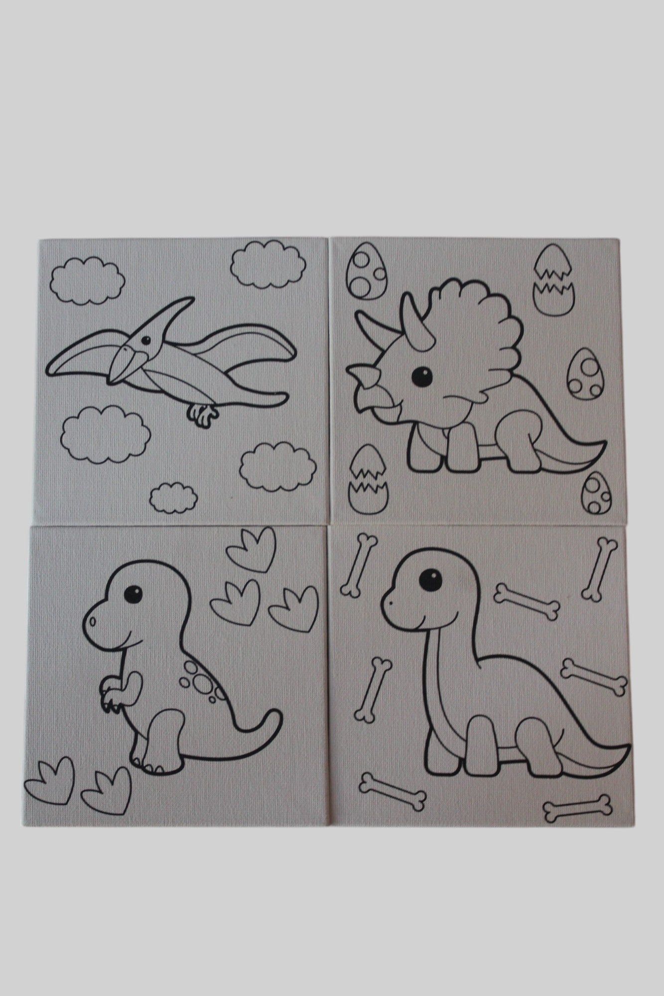 Paint a Canvas Mini - Dinosaurs