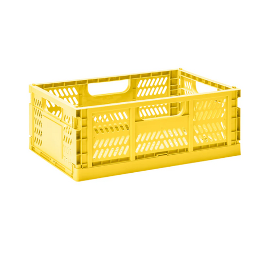 3 Sprouts Crate - Yellow Color