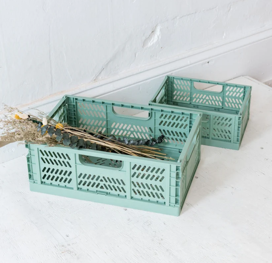 3 Sprouts Crate - Green Color