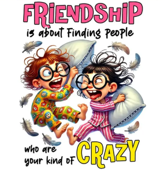 Cartoon of two children with pillows and feathers, with text about friendship and being 'crazy'.